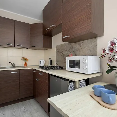 Appartement Charming With Balcony In By Renters Katowice