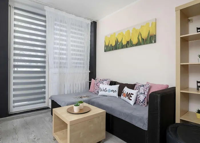 Appartement Charming With Balcony In By Renters Katowice