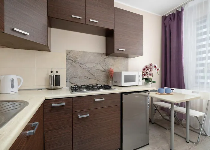 Charming With Balcony In By Renters Appartement Katowice