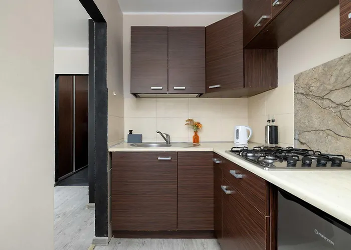 Charming With Balcony In By Renters Appartement